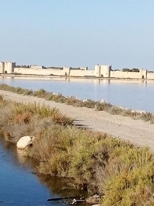 Aigues Mortes Studio De Vacances En Camargue Bagian luar foto